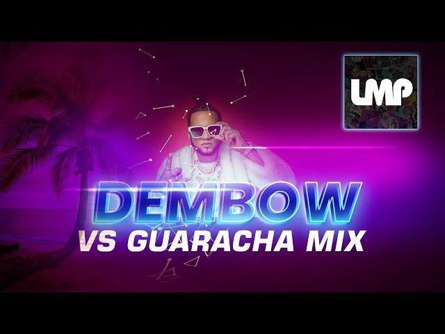 Dembow Vs Guaracha Mix (El Alfa, Chimbala, Farruko, Ceky Viciny) | DJ LJ