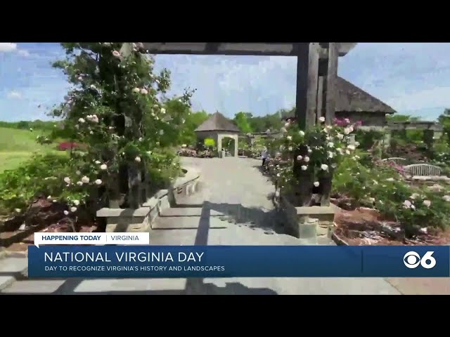 National Virginia Day!