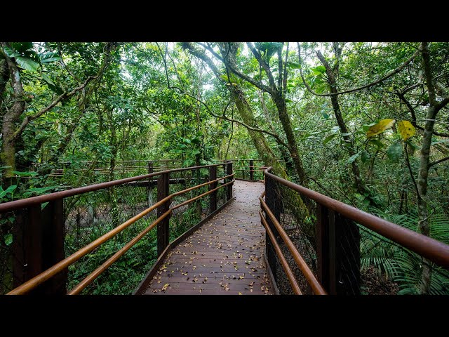 Escolha o nome dessa trilha 360º - Libras, Legenda e Áudio Descrição