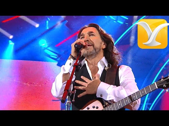 Marco Antonio Solis - Sigue sin mí - Festival de Viña del Mar 2016 HD