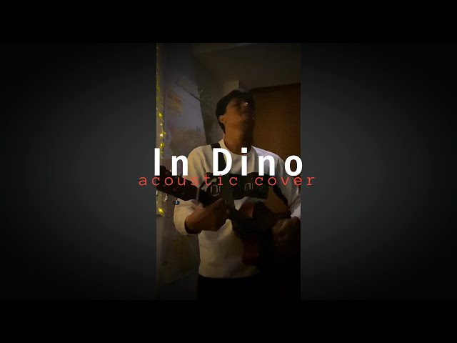 In Dino - METRO (acoustic cover)