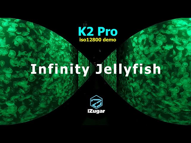 Cinematic Infinity Sea Jelly at Hong Kong Ocean Park  (VR180)