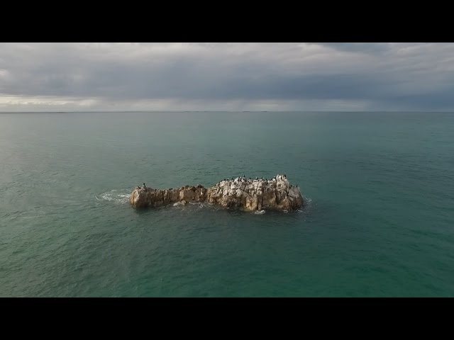 Nelson Mandela Bay - Bird Rock, Summerstrand