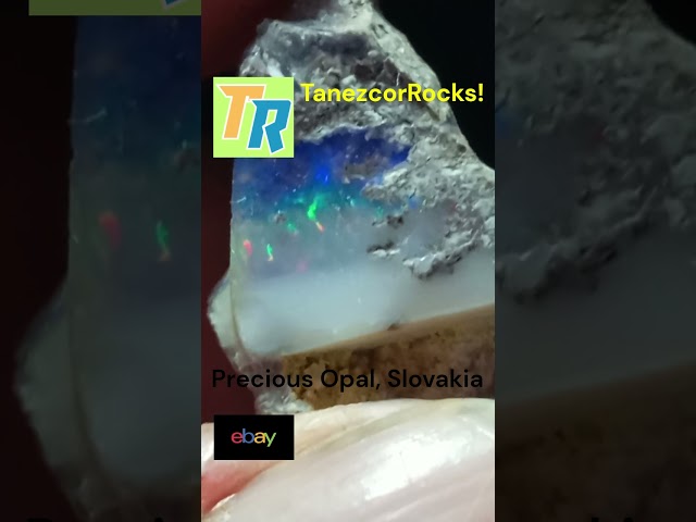 PRECIOUS OPAL UNIQUE SPECIMEN, SLOVAKIA: 1.5x1x0.8cm, Blue, Green, Purple, Golden & Red | Trailer