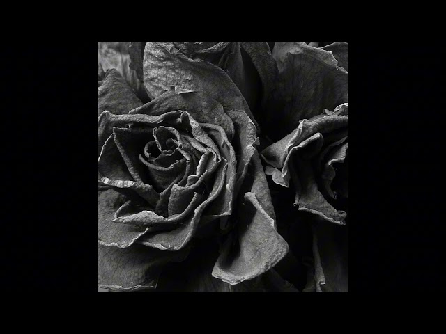 free joji, indie rock and xxxtentacion type beat "black rose"