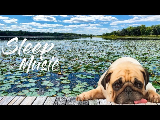 Sleep Music and Soothing Relaxation