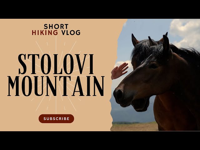 Stolovi mountain hiking experience 2024, Serbia