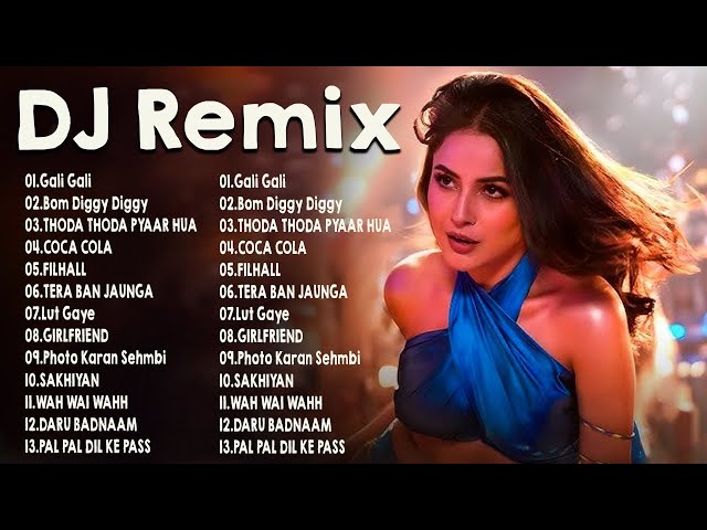 Nonstop party mashup dance DJ songs - Letest Bollywood DJ Non_Stop Remix 2024 - BOLLYWOOD dJ REMIX