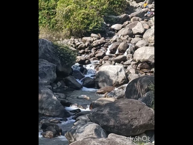 #riverstream #JogiGhat #Sightseeing #DooarsVisit #NaturesMade #BeautyCaptured