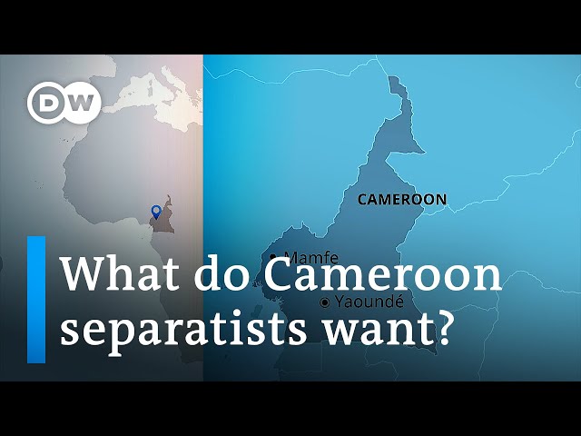 Anglophone separatists kill dozens in western Cameroon | DW News Africa