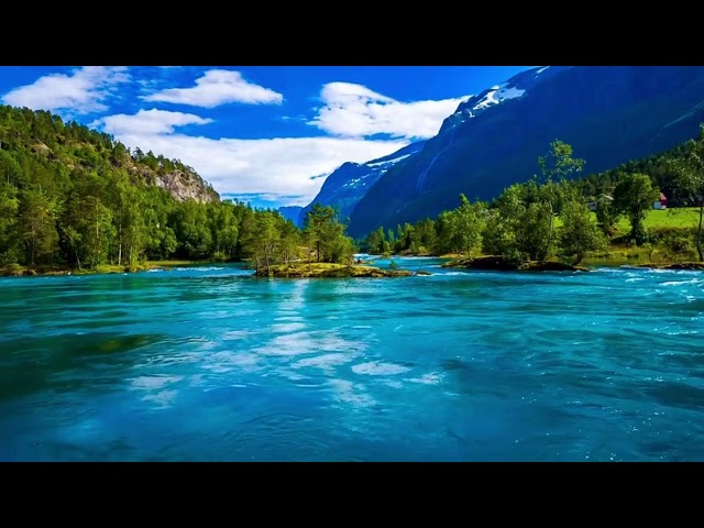 Peaceful River Flowing Sound. Gentle River, Relaxing Nature Sounds. White Noise for Sleep Study