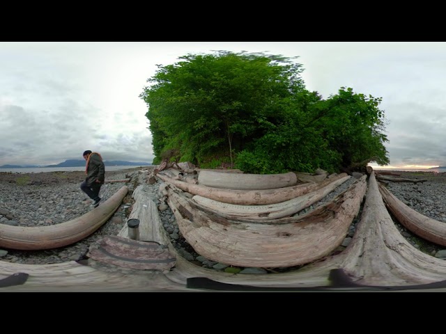 VRTO 2020 -The Flotilla by Moisen M, VR-Nature