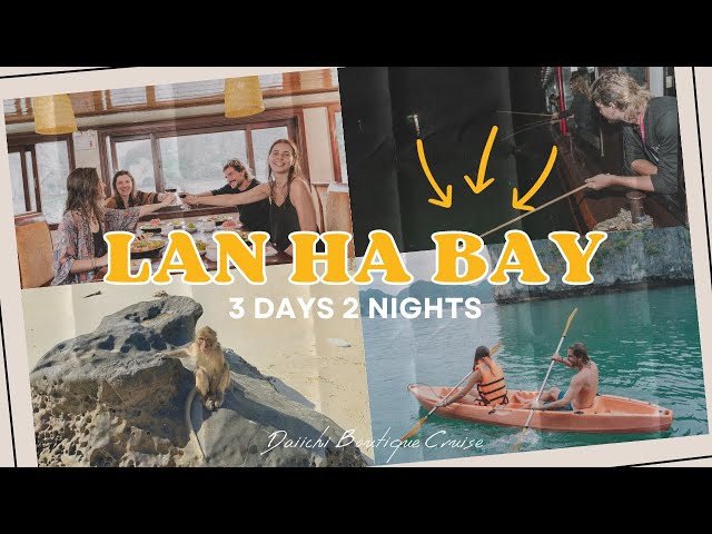 Cruise on Lan Ha Bay, Tour 3 Days 2 Nights, Daiichi Boutique Cruise