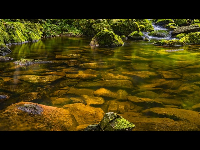 (1 hour) nature sounds relaxing water sound sleep meditation