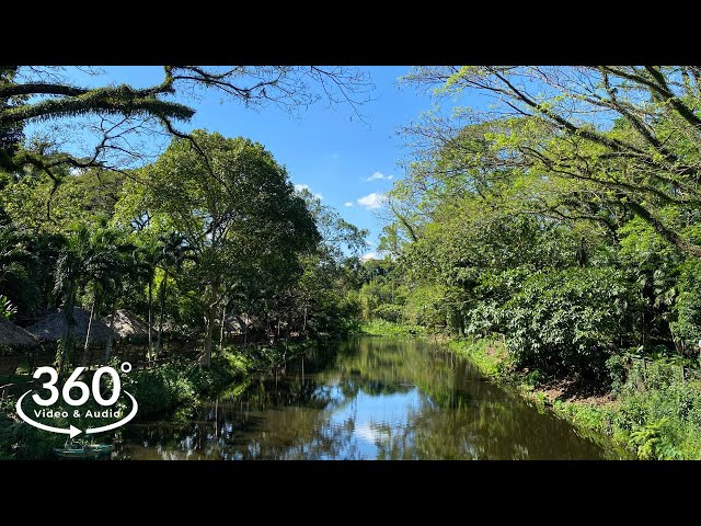 La Mesa Ecopark , Quezon City , Philippines |  360°  VR Video & Audio Walking Tour