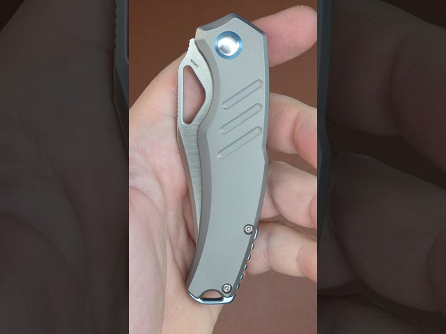 Kizer Torngat #shorts