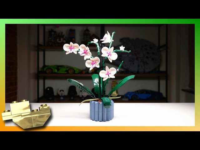 A Beautiful Orchid - #33 - LEGO Botanical Collection - Orchid (10311)