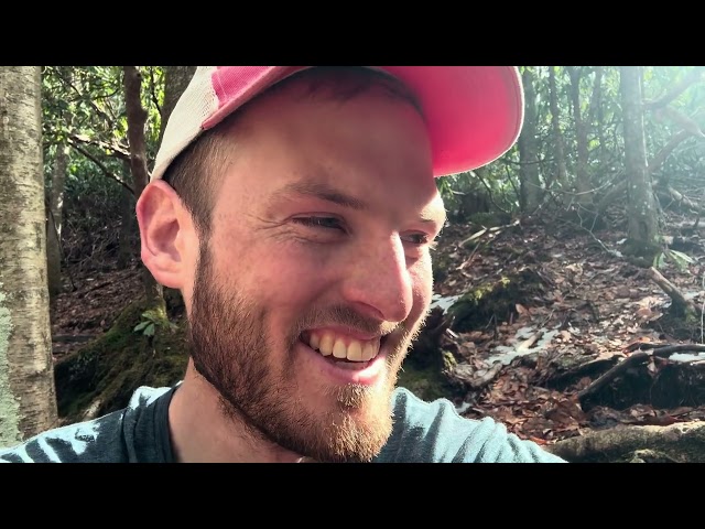 2024 Appalachian Trail Day 21: Waterfall!