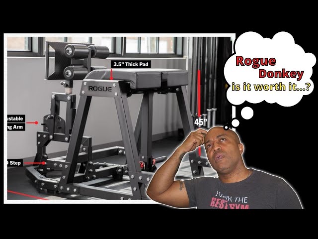 What Do You Think of the Rogue Donkey? Should You Buy a Rogue Donkey? | Garage Gym Life