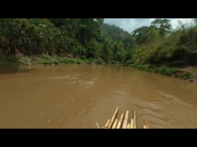 VR180 Trekking through the Jungle in Thailand