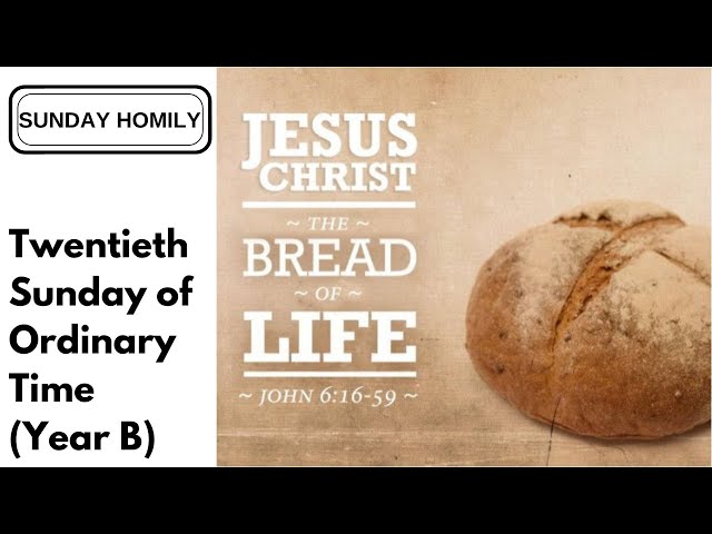 Homily - Twentieth Sunday of Ordinary Time (Year B)