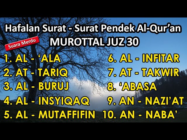 Hafalan surat surat pendek Al Quran untuk bacaan sholat | Murottal Juz 30 surat al ala - an naba