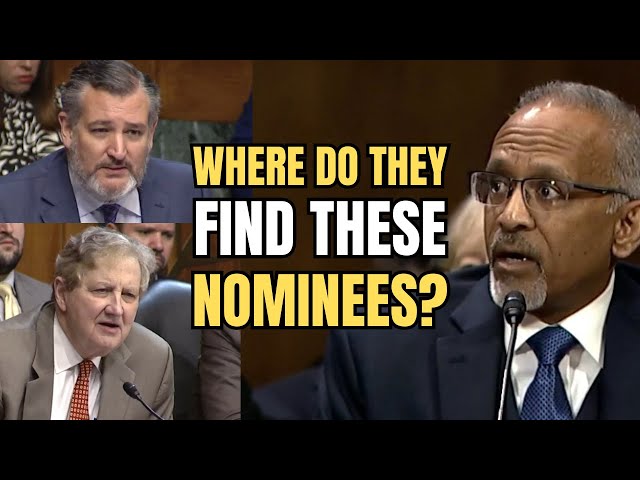 Ted Cruz and John Kennedy TORCH Questionable Judge Nominee Mustafa Kasubhai in Senate Hearing