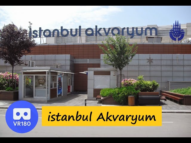 Vr180 3D istanbul Aquarium 1