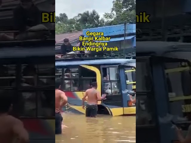 baiknya diapakan preman ini banjir kembayan paling brutal