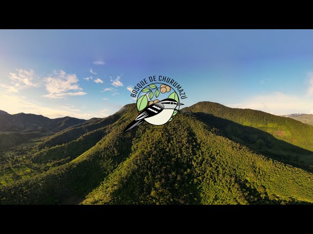 Listen Fauna 360 binaural - ACP Bosque de Churumazú - Rutas Pajareras XIICPO