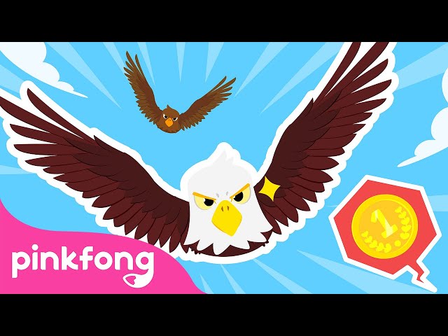 The Super Eagle Contest | Storytime with Pinkfong and Animal Friends | Cartoon | Pinkfong for Kids