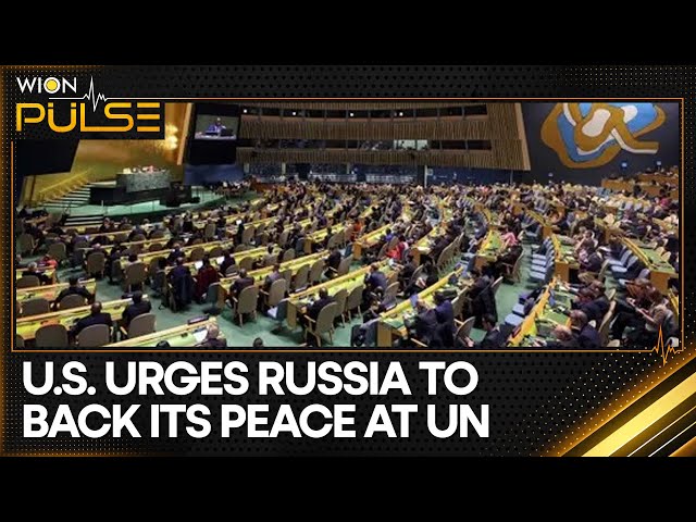 Russia-Ukraine War: US Pushes For Swift End To 'Conflict' In Ukraine | World News | WION Pulse