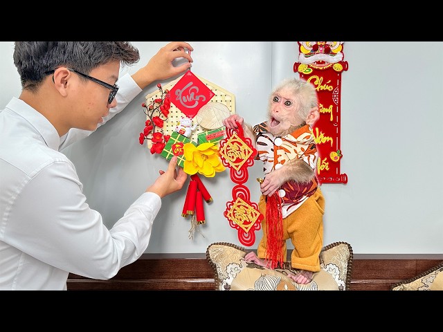 Lala helps CEO Kien decorate the house for Lunar New Year!