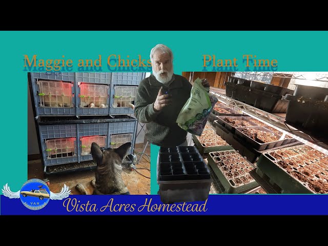 It is that time again.  We have new Chicks on the Homestead and Planting season is upon us. EP#307