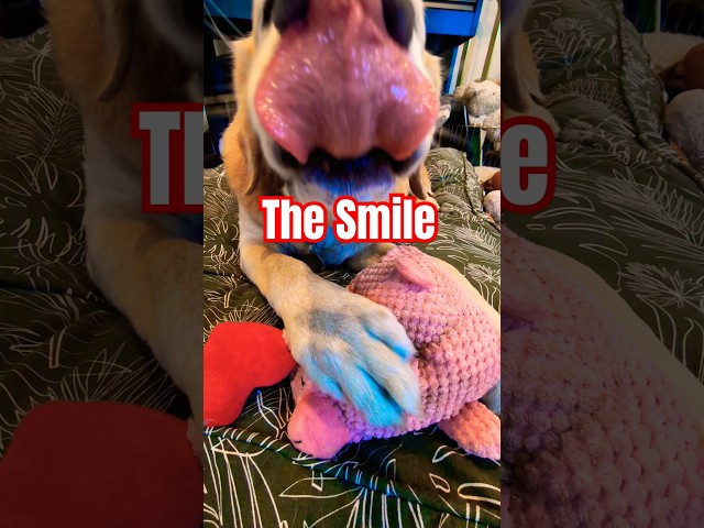 📱📹🎥📸😀OLD RAW UNEDITED AND FINALLY RELEASED  - VIDEO 2 -  THE SMILE📱📹🎥📸🌞😀