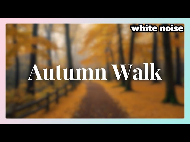 Autumn Walk in the Woods | Peaceful Fall Ambience with Wind & Nature Sounds