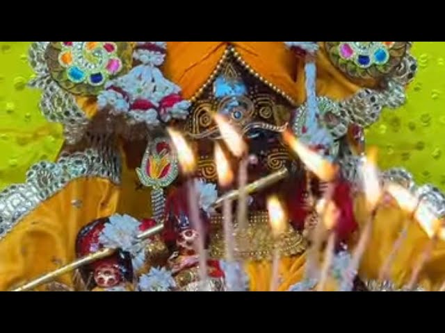 Live : Darshan Shri Radhavallbh Mandir ||  Vrindavan ||  जय जय श्री राधा वल्लभ श्री हरिवंश ||