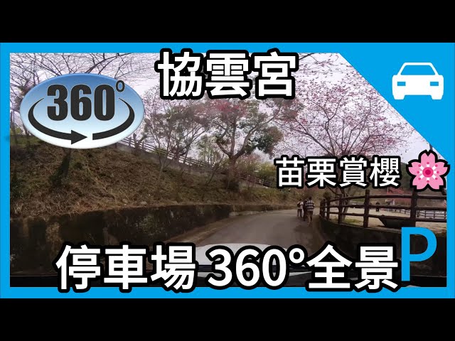 [VR360][停車場] 苗栗協雲宮賞櫻 🌸 停車場全景 🚗 360度環景櫻花盛開！#賞櫻 #櫻花 #協雲宮