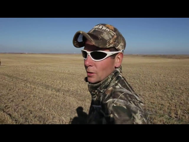 Hired to Hunt Season 2 #8 - Goose Hunting and Duck Hunting.  Limit hunts in Alberta