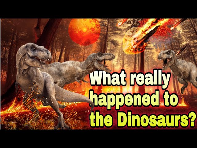 What Really Happened to the Dinosaurs? The Mystery of Extinction Explained! Their Amazing History!