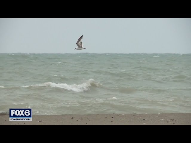 Wild weather in southeastern Wisconsin | FOX6 News Milwaukee