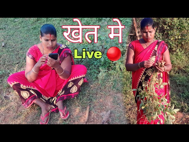 First time खेत मे Live