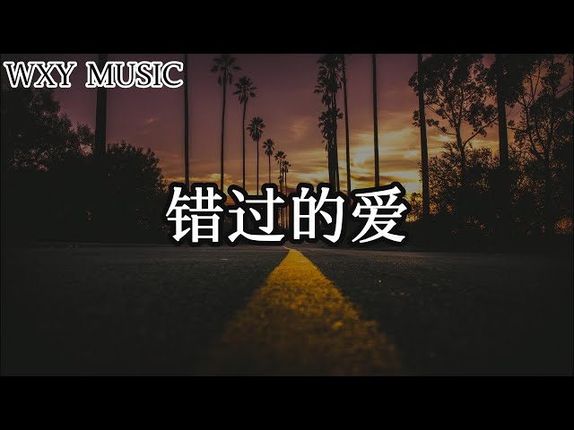 错过的爱-【在黄昏的余晖中，我独自漫步街头】【动态歌词 | Pinyin Lyrics】