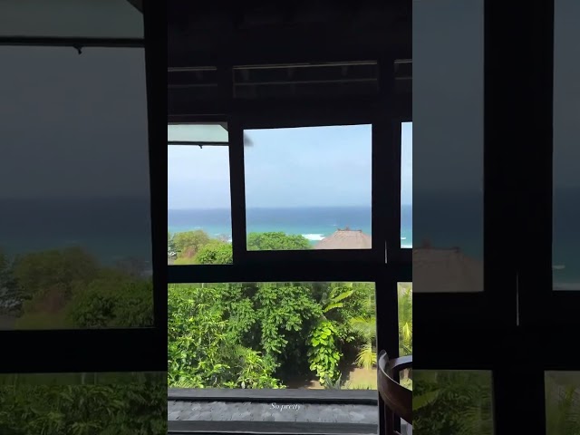 Millionaire girl shares room beach view