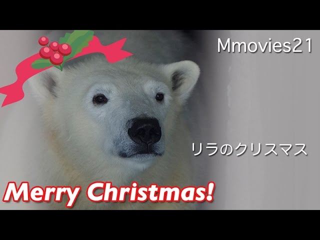 リラのクリスマス (ホッキョクグマ　リラ) Polar Bear "Lila" Original Song