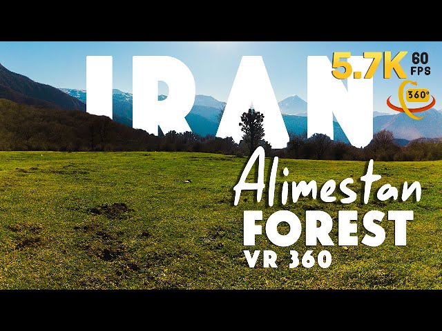 IRAN Virtual Tour | ALIMESTAN FOREST  | VR 360 | AMAZING FOREST