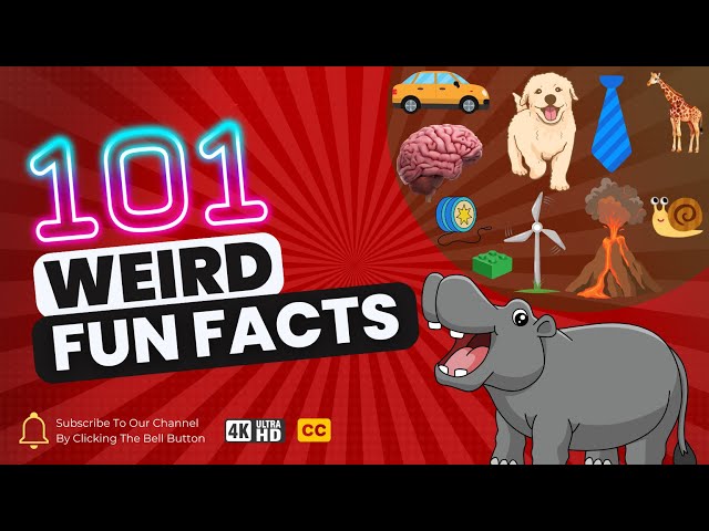 101 Weird Fun Facts That will Blow Your Mind | Interesting Facts