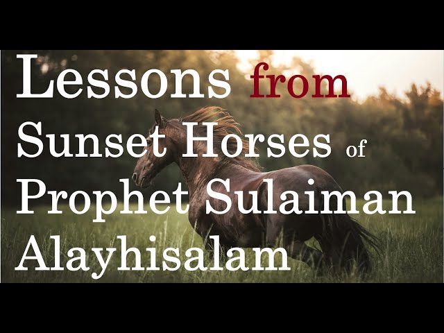 Lessons from Sunset Horses of Prophet Sulaiman Alayhisalam