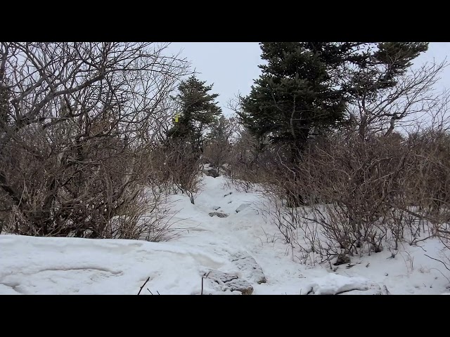 4K 설악산 눈쌓인 길 끝청