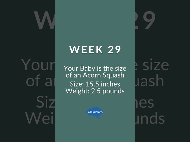 29 Weeks Pregnant: My Pregnancy Week by Week | Cloudmom | GIVEAWAY | #shorts